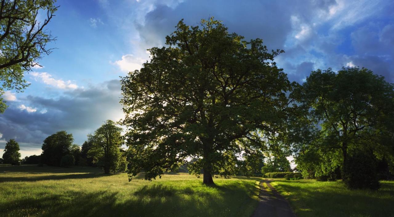 Ernée La Tiny Du Parc : Saint Symphorien Des Montsヴィラ エクステリア 写真
