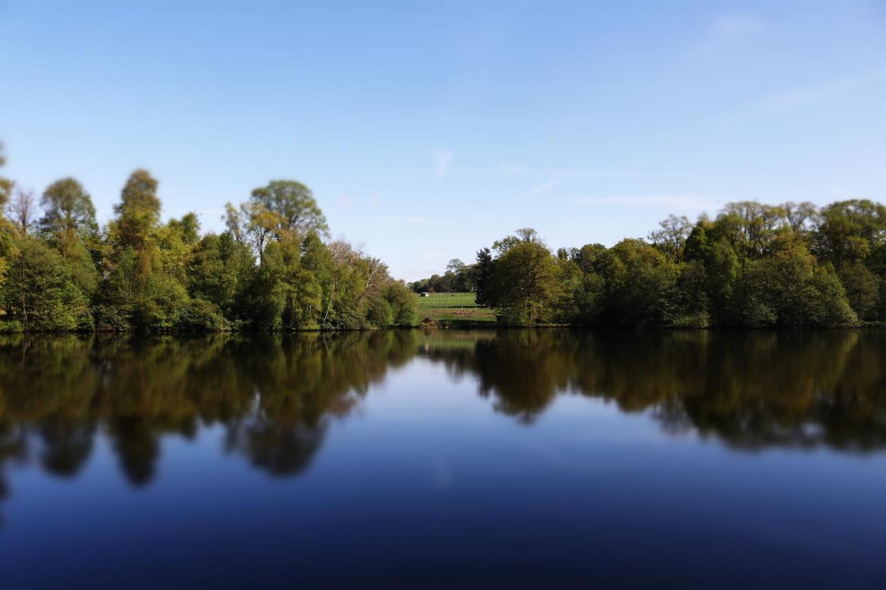 Ernée La Tiny Du Parc : Saint Symphorien Des Montsヴィラ エクステリア 写真
